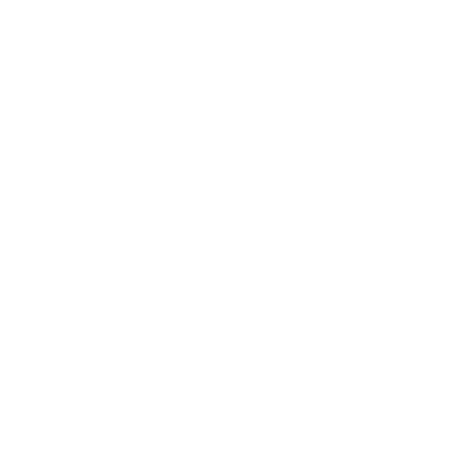 Scottsdale Mint Logo